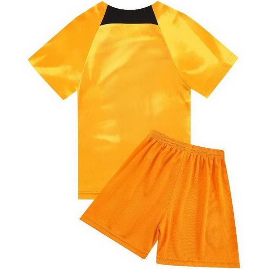 2022 Netherlands Blank Gold Home Youth Soccer Jersey